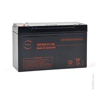 NX - Batería Plomo AGM 13-6 Cyclic 6V 13Ah F6.35