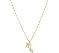 NXNONEPD necklace Sterling Silver Chain,Zodiac Signs Elegant Ladies Ancient Symbols Zirconia Choker Horoscope Symbol Pendant Jewelry For Girls Birthday Present