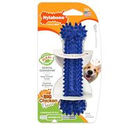 Hueso Nylabone Moderate Dental Chew - S ( Até 11 Kg )
