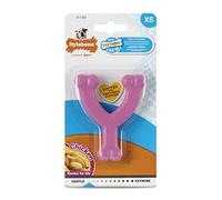 Nylabone, Juguete mordedor para Cachorro, Hueso de Deseo, Rosa, Sabor a Pollo, XS, para Cachorros de hasta 7 kg