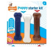 Nylabone Juguete Starter Kit Huesos Para Cachorros S