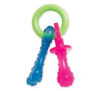 Mordedor de perro Nylabone Llavero Carne Queso Cachorros Bacon Nylon Termoplástico Talla XS