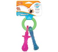 Mordedor de perro Nylabone Llavero Carne Queso Cachorros Bacon Nylon Termoplástico Talla XS