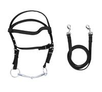 Nylon Horse Bridle Riin | Adjustable Headstall for Control & Comfort | Equestrian Training Aid for Riding/Training/Competition | Diseño de estilo y sturdy (L)
