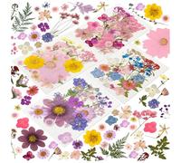 Nymora 100-teiliges Trockenblumen-Set, getrocknete Blumen & gepresste Blumen Zum Basteln für Harz, Seifen, Kerzen, Scrapbooking, Karten & Schmuck (getrocknete Blüten)