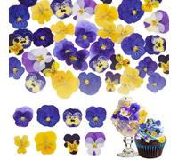 Nymora 72 piezas, 8 tipos de flores comestibles naturales, secas y prensadas para decoraciones de pasteles - Mix Viola Tricolor para cupcakes, cócteles, Harzschmuckherstellung, manualidades de bricola