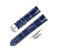 NZVCQVPU 19/20/Elegante grano de bambú de bambú Vaquero Vaquera Azul Reloj Correa de reloj de reemplazo de reloj de cuarzo con herramientas de instalación