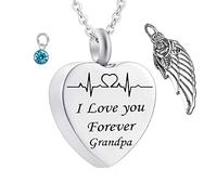 NZVCQVPU Collar de recuerdo, collares de acero inoxidable Electrocardiograma de la piedra de nacimiento del corazón del corazón del ala de la piedra de nacimiento
