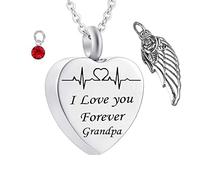 NZVCQVPU Collar de recuerdo, collares de acero inoxidable Electrocardiograma de la piedra de nacimiento del corazón del corazón del ala de la piedra de nacimiento