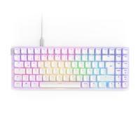 NZXT Function 2 MiniTKL 2024 - Teclado óptico para Juegos sin Teclas - RGB Iluminado - 8K Query Rate - Interruptores ópticos lineales - Clic Ajustable - Hot-Swap - Blanco DE (QWERTZ)