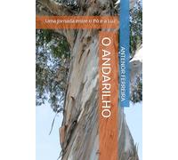 O ANDARILHO: Uma Jornada entre o Pó e a Luz