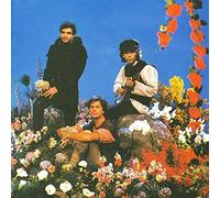 O Descobrimento Do Brasil