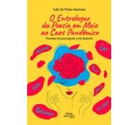 O Entrelugar Da Poesia Em Meio Ao Caos Pandêmico (ebook)