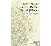 O INFINITO NUM JUNCO