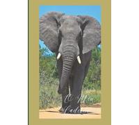 O Meu Caderno: Para aqueles que amam Moçambique e a sua cultura