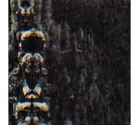 O Morto - The Forest, the people and the spirits [Vinilo]