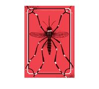 O Mosquito: A Incrível História Do Maior Predador Da Humanidade