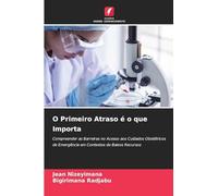 O Primeiro Atraso é o que Importa: Compreender as Barreiras no Acesso aos Cuidados Obstétricos de Emergência em Contextos de Baixos Recursos