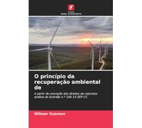 O princípio da recuperação ambiental de: A partir da conceção dos direitos da natureza: análise do Acórdão n.º 166-15-SEP-CC