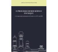 O Processo Democrático Em Xeque (ebook)