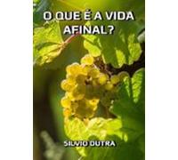 O Que É Afinal A Vida? (ebook)