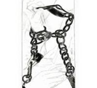 O Que É Ser Militar? Uma Construção Hegemônica Volume Ii (ebook)