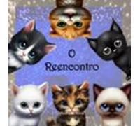 O Reencontro (ebook)