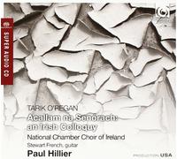 O Regan Tarik – Acallam Na Senórach – An Irish Colloquy