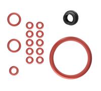 O-Ring Dichtung para Brühgruppe Saeco Moltio Incanto HD Pico Baristo