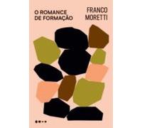 O Romance De Formação (ebook)