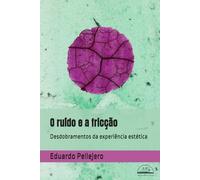 O ruído e a fricção: Desdobramentos da experiência estética