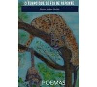 O Tempo Que Se Foi De Repente (ebook)
