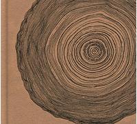 Ó - Year Of The Rabbit (Deluxe CD Includes Photobook) [Deluxe CD (Includes Photobook)]