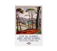 OAHFDF Live in Surrey British Railways - Lienzo decorativo para pared, pintura para decoración de sala de estar, dormitorio, 20 x 30 cm