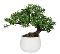 Oairse 25 cm Planta Artificial Bonsai Árbol en Maceta de cerámica Plantas Artificiales Aesthetic Japonés Bonsai Decoración para Salón Dormitorio Baño Alféizar de Ventana Decoración