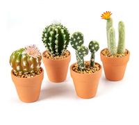 Oairse Juego de 4 Mini Plantas Artificiales de Cactus en macetas de Terracota Surtidas Plantas suculentas Artificiales Decorativas para el hogar, Cocina, baño, Escritorio, decoración de Interiores