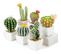 Oairse Juego de 6 Mini Plantas Artificiales de Cactus en macetas de cerámica Blanca, Plantas suculentas Artificiales Surtidas, Cactus Artificiales Decorativos para el hogar, Cocina, baño, Escritorio