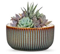 Oairse Macetero de cerámica acanalado, Maceta de cerámica para bonsái con platillos con agujero de drenaje para plantas de interior, decoración retro para conjuntos de contenedores de jardín al aire