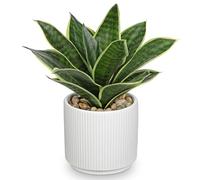Oairse Planta artificial de agave artificial de 21 cm, planta de agave artificial realista en maceta de cerámica, plantas artificiales de interior para hogar, oficina, baño, dormitorio, decoración de
