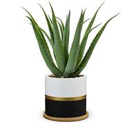 Oairse Planta artificial en maceta, planta artificial de aloe vera en maceta de cerámica, plantas artificiales de plástico, decoración de plantas para salón, balcón, dormitorio, baño, habitación,