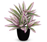 Oairse Planta artificial grande de 32 cm en maceta, planta Dracaena falsa, plantas de maceta decorativas falsas, planta artificial tropical de interior para el hogar, baño, cocina, decoración, rosa