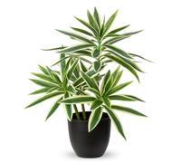 Oairse Plantas falsas de 41 cm en macetas negras, planta artificial de dracaena decorativa, plantas falsas en maceta, planta de interior realista para decoración del hogar, baño, cocina