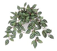 Oairse Plantas falsas en macetas de 41 cm, plantas artificiales que se arrastran, plantas falsas en maceta, para interiores y exteriores, hogar, oficina, baño, cocina, decoración de mesa