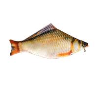 OAJABBGE Estuche De Bolígrafo con Forma Compartimento Multifuncional Regalo para Amantes Los Libros Bolsa Pescado