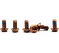 OAK Components Juego de Tornillos de titanio M5x10 para Disco de freno 6 agujeros