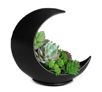 Oakadoaks Maceta de mesa, diseño de luna de escritorio, macetas bohemias para plantas de interior, suculentas, plantas de aire, cactus, plantas artificiales, regalos de bruja para mujeres, cumpleaños,