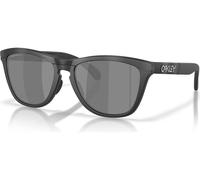 Oakley Gafas Frogskins Range XL negro
