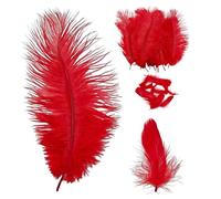 OAOSDH 10 Piezas De Plumas De Avestruz Y 10 Piezas De Plumas De Ganso, Decoración De Plumas Y Plumas para Artesanías, Adecuadas para Fiestas, Ropa Y Decoración del Hogar.