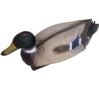 Oase Elemento Ornamental - Macho de Ánade Real - 1 pieza
