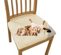 OBASDFD Fundas Elásticas For Sillas De Comedor con Ajuste Antideslizante Y Protección contra Arañazos Gato (Paquete 2)(Beige,2 Pack)